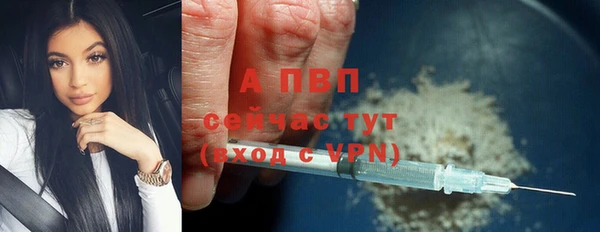 Альфа ПВП Белокуриха