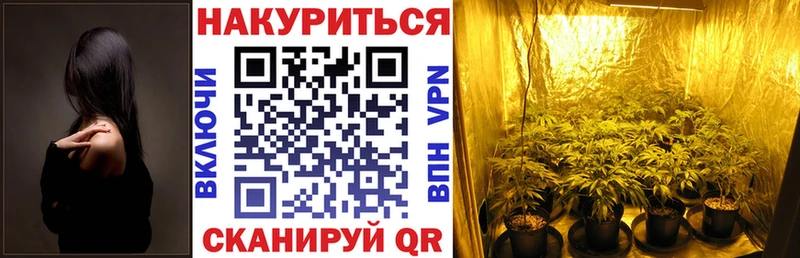 магазин  наркотиков  Севск  mega зеркало  МАРИХУАНА Ganja 